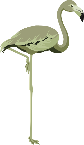 Illustration eines grünen Flamingos, der auf einem Bein steht, nach rechts schaut und den Kopf hochhält.